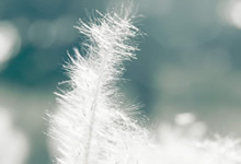 關于MDR法規2017/745:主要變化是什么?